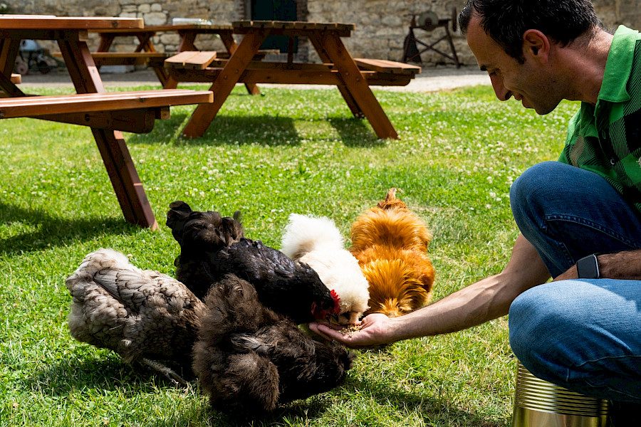 Maastricht Heuvelland Culinair