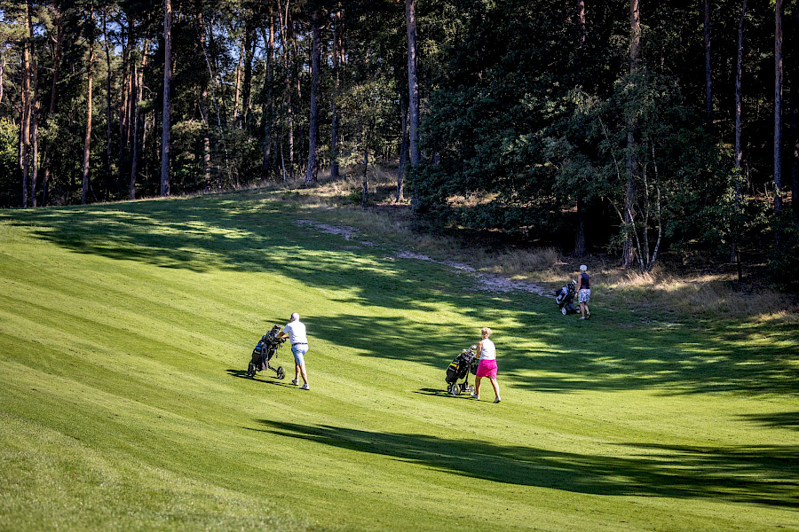 Geslaagde 6e editie van het Alzheimer Golftoernooi