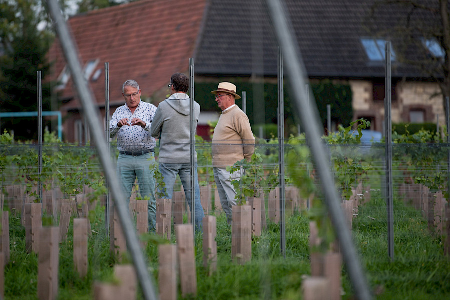 Een uniek kijkje in Wijndorp Noorbeek