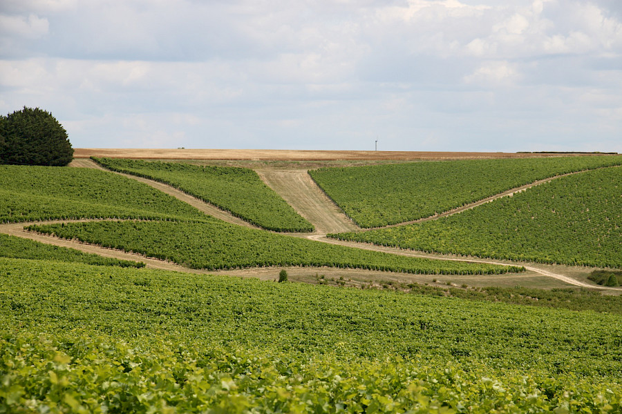 Lekker leven langs de Loire