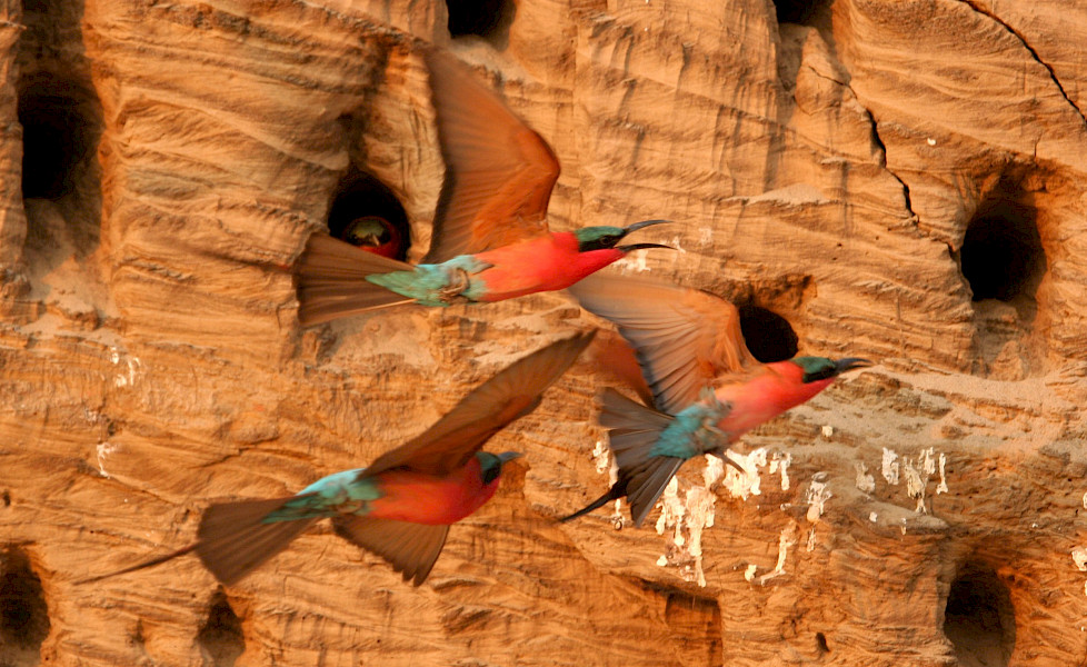 Zambia, het echte Afrika