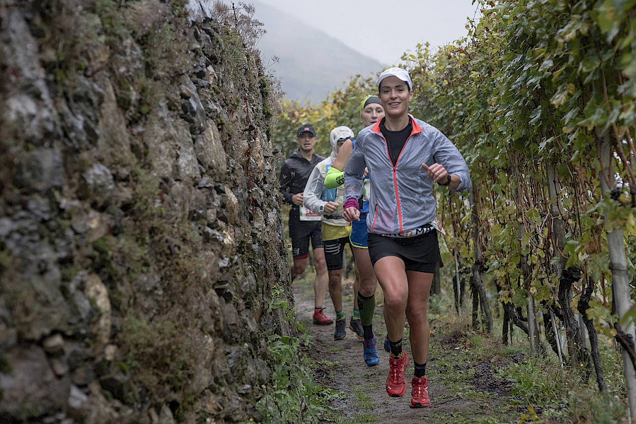 Wijn-, wandel- en trailrunparadijs