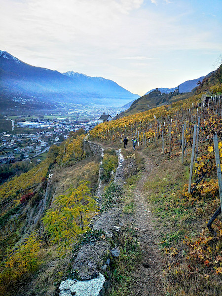 Wijn-, wandel- en trailrunparadijs