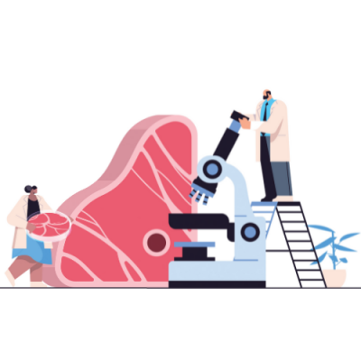 Wachten op vlees zonder dier