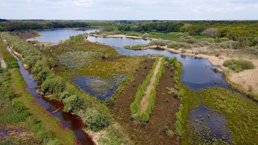 Fietsend door het land van duin en maas