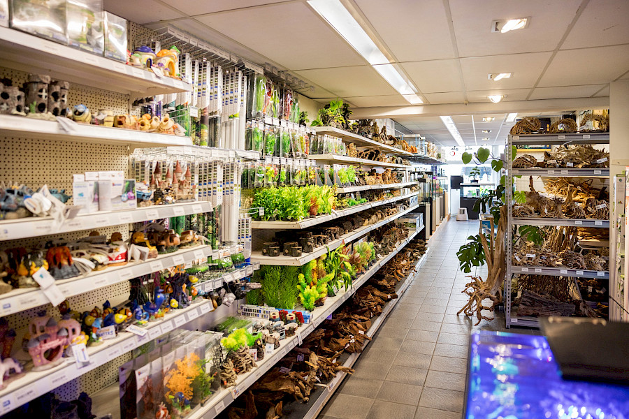 Robert Knops Vijver en Aquarium