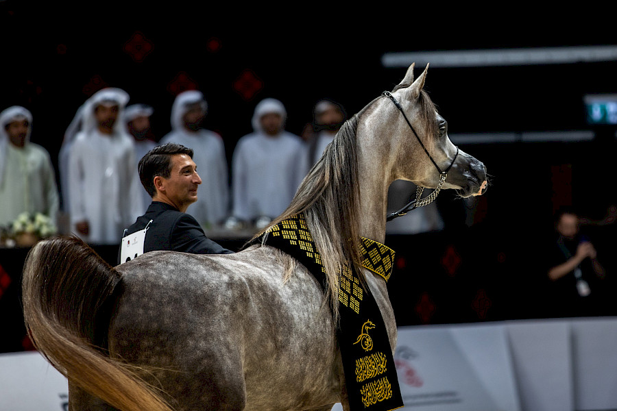 De Global Champions Arabians Tour komt voor het eerst naar Nederland