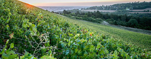 Praktische informatie