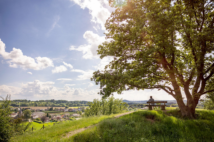 Rob Mennen Ongeregisseerde presentator en pianist