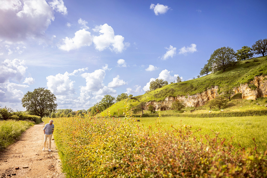 Rob Mennen Ongeregisseerde presentator en pianist