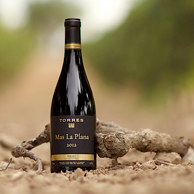 Torres Klaagt niet over het weer