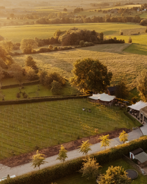 Wijndomein St. Martinus