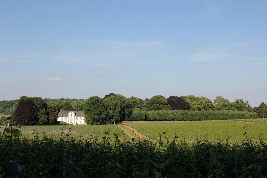 Wijnkasteel Genoels-Elderen