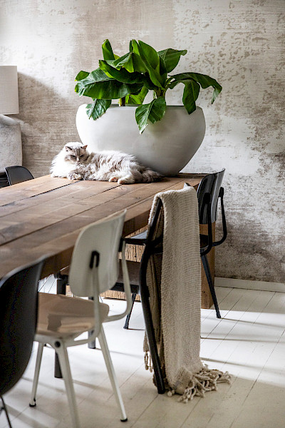 Casa 1780: Voormalig Spaanse officierswoning