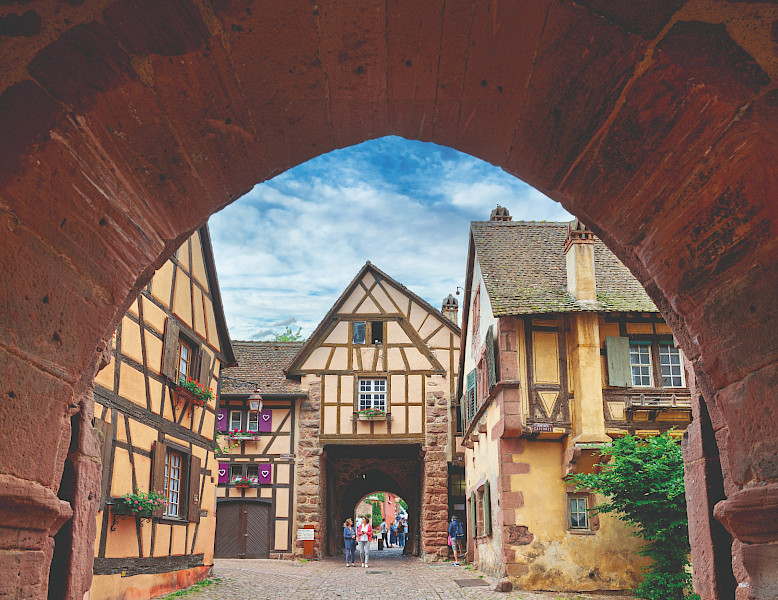 Fietsen en wijn in de Elzas