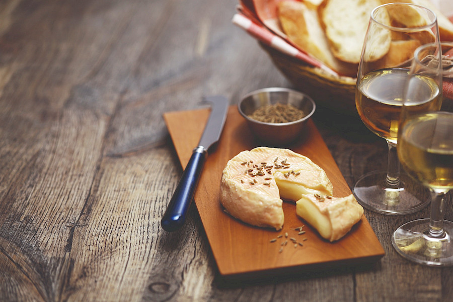 Fietsen en wijn in de Elzas