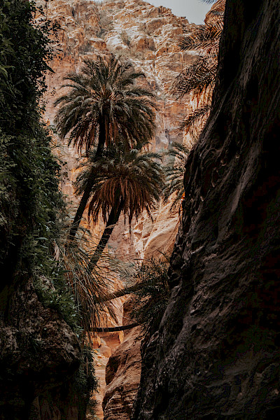 Als een bedoeïen in Jordanië