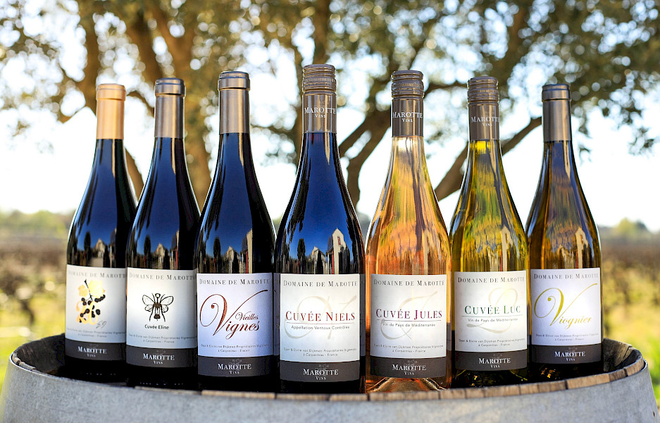 Van bouwval tot wijnparadijs: Domaine de Marotte