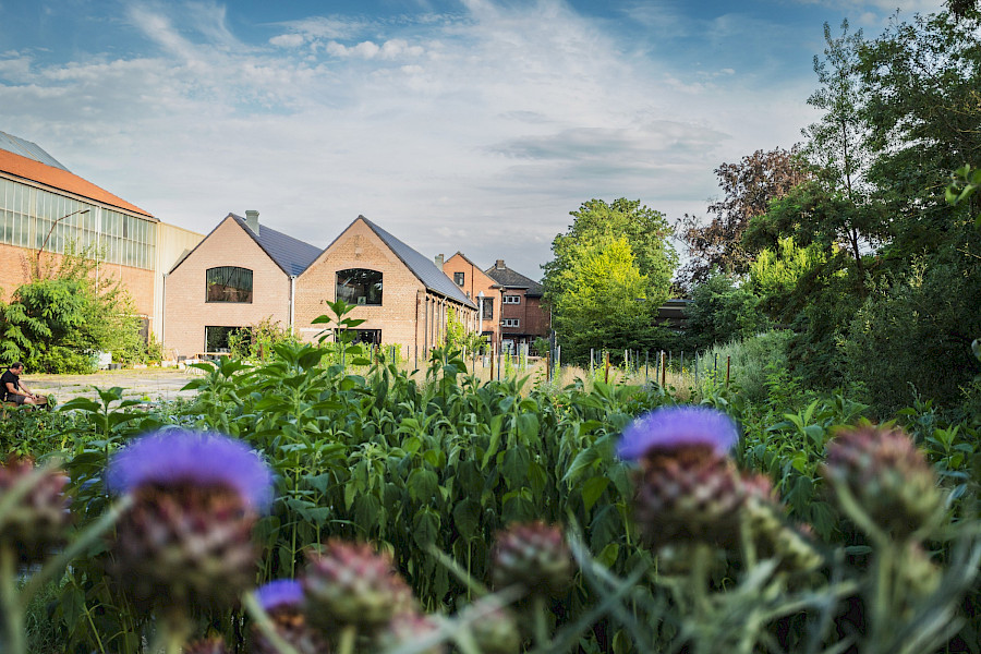 Restaurant van de week: Sober