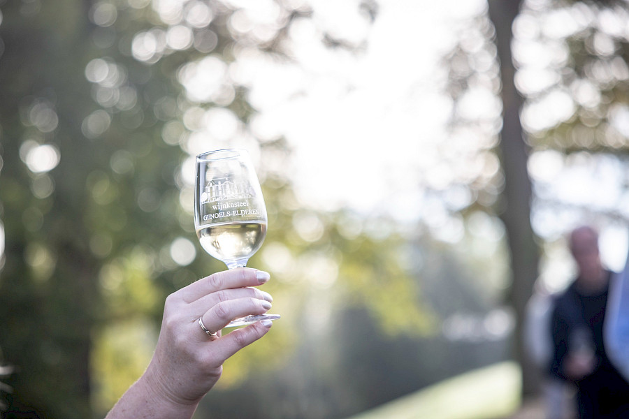 Geslaagde Limburgse Wijntour