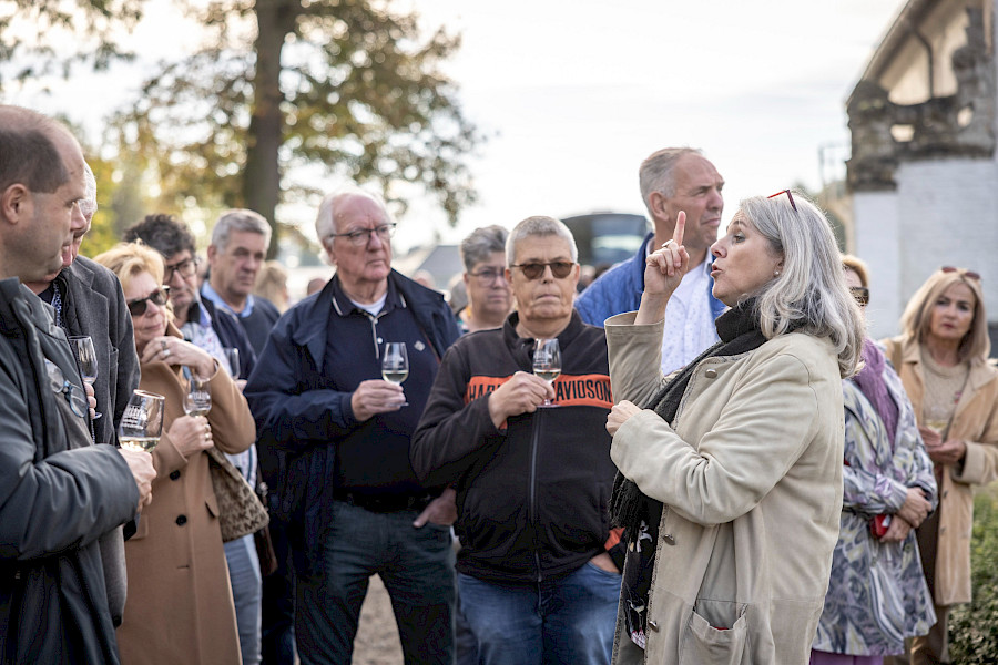 Geslaagde Limburgse Wijntour