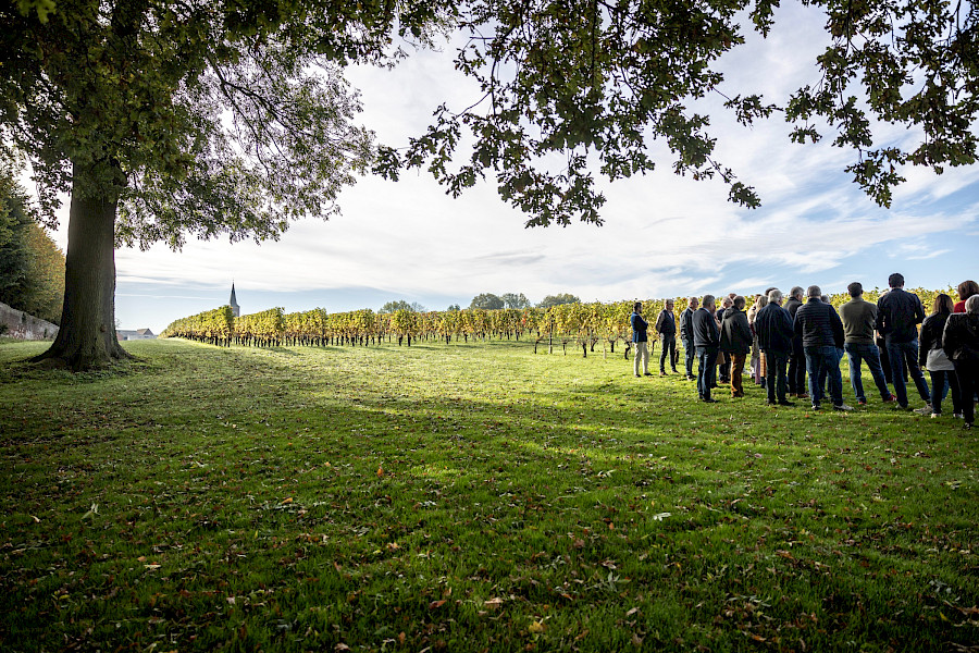 Geslaagde Limburgse Wijntour