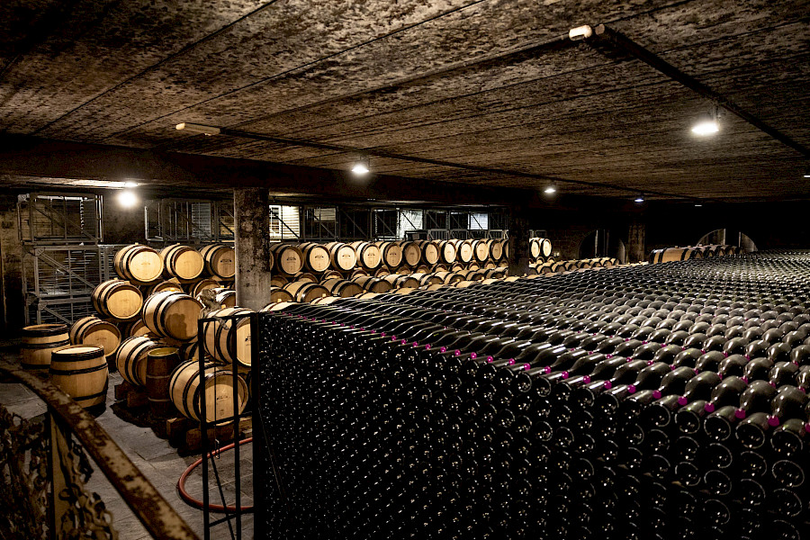 Geslaagde Limburgse Wijntour