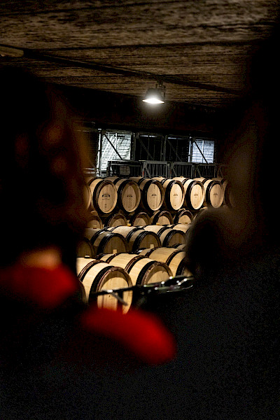 Geslaagde Limburgse Wijntour