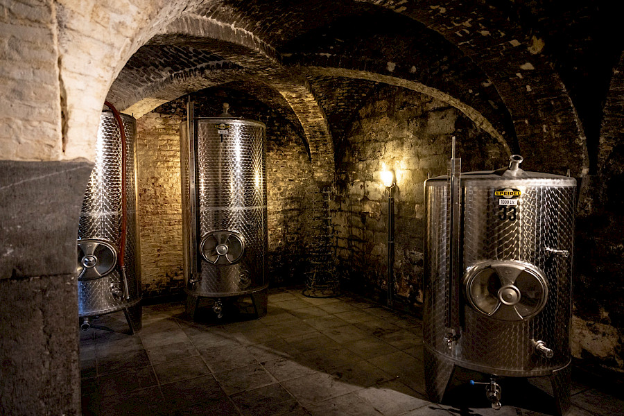 Geslaagde Limburgse Wijntour