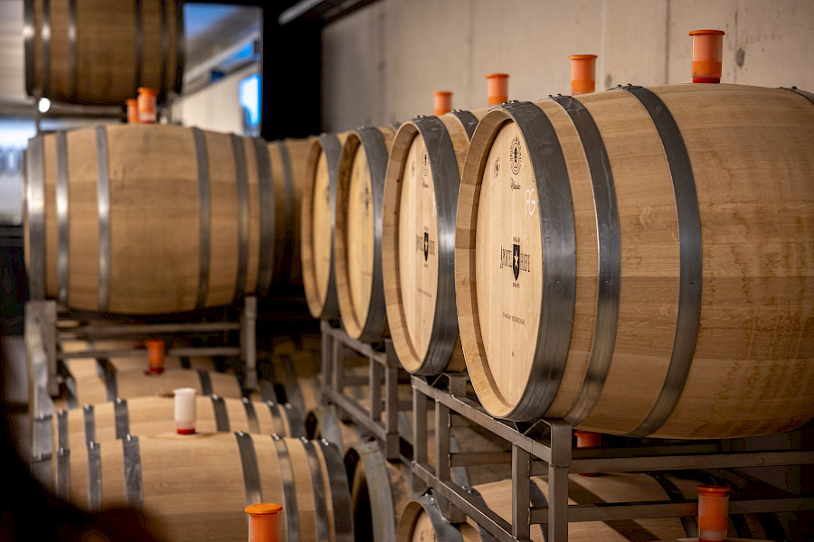 Geslaagde Limburgse Wijntour