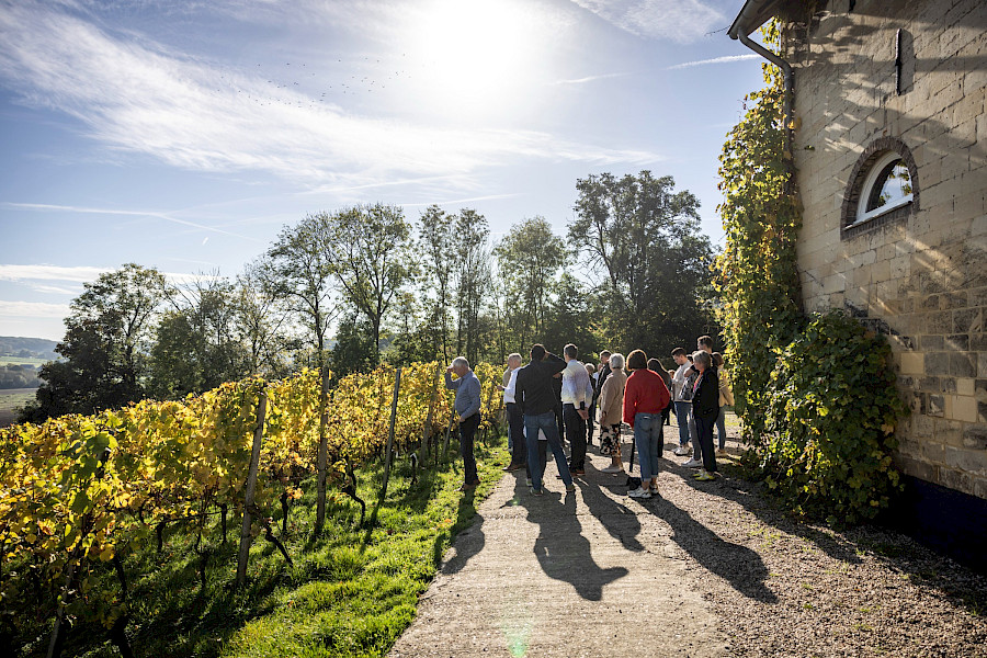 Geslaagde Limburgse Wijntour