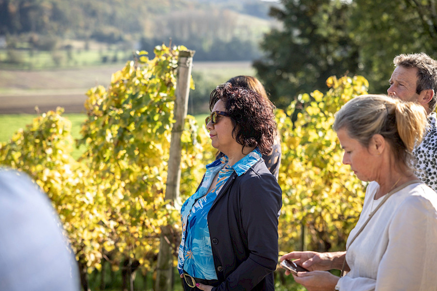 Geslaagde Limburgse Wijntour