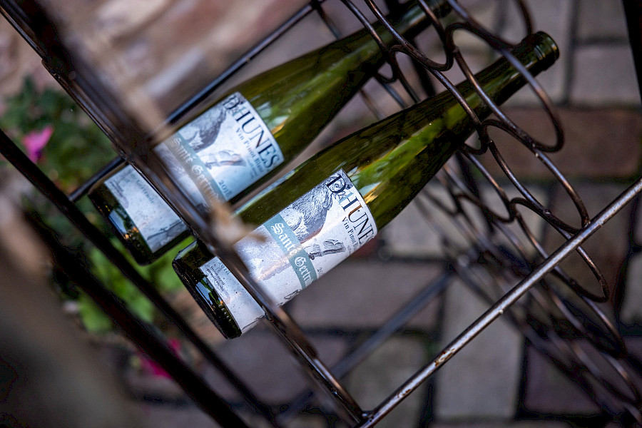 Geslaagde Limburgse Wijntour