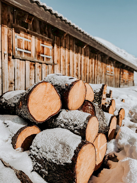 Off-piste plezier in het Oostenrijkse Bregenzerwald