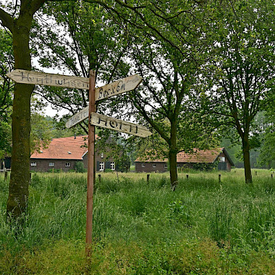 Lente op de Beijlshof