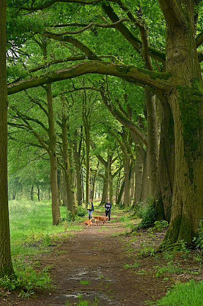 Lente op de Beijlshof