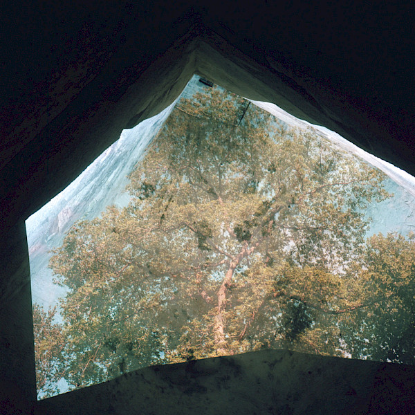 Édouard Taufenbach & Bastien Pourtout conversations with nature