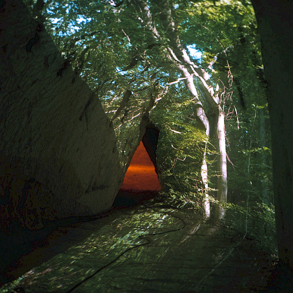 Édouard Taufenbach & Bastien Pourtout conversations with nature