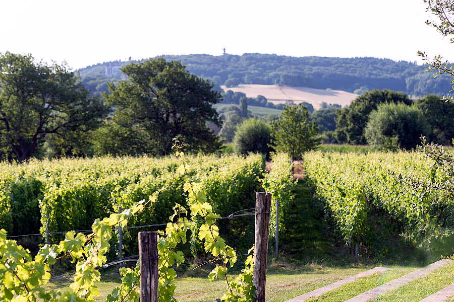 Sprankelend, speels en stijlvol: Domein Holset lanceert de nieuwe DOT!