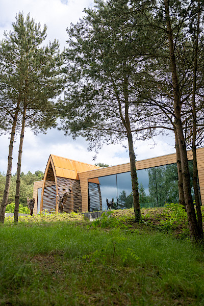 Elaisa Energetic Wellness