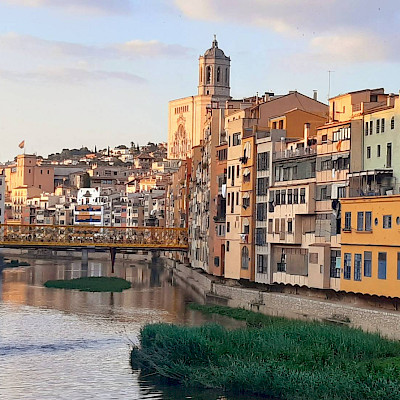 Op reis door Dali’s droomwereld