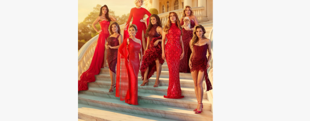 The Real Housewives van het Zuiden