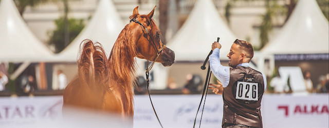 Global Champions Arabians Tour Valkenswaard