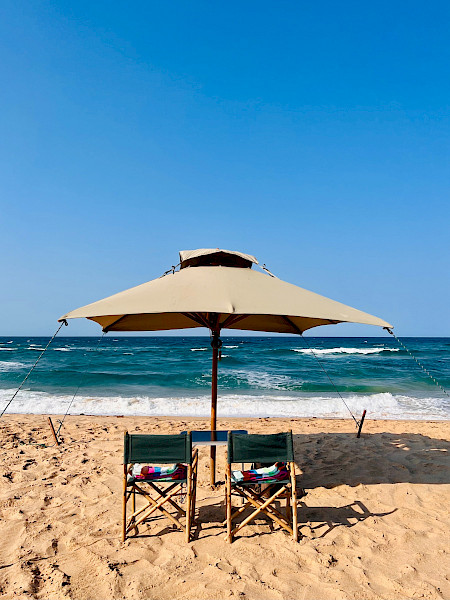 Mozambique: Diving Me Wild