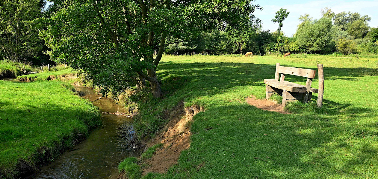 The Dutch mountains van Eys