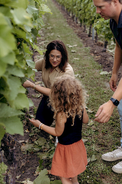 Wijndomein Kapèlkeshof