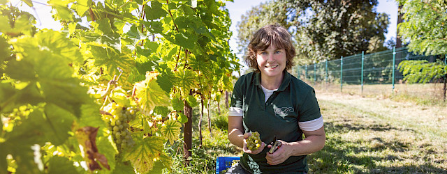 Wijndomein de Bisschopshoeve