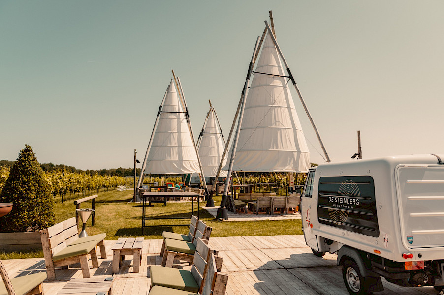 Wijndomein de Steinberg