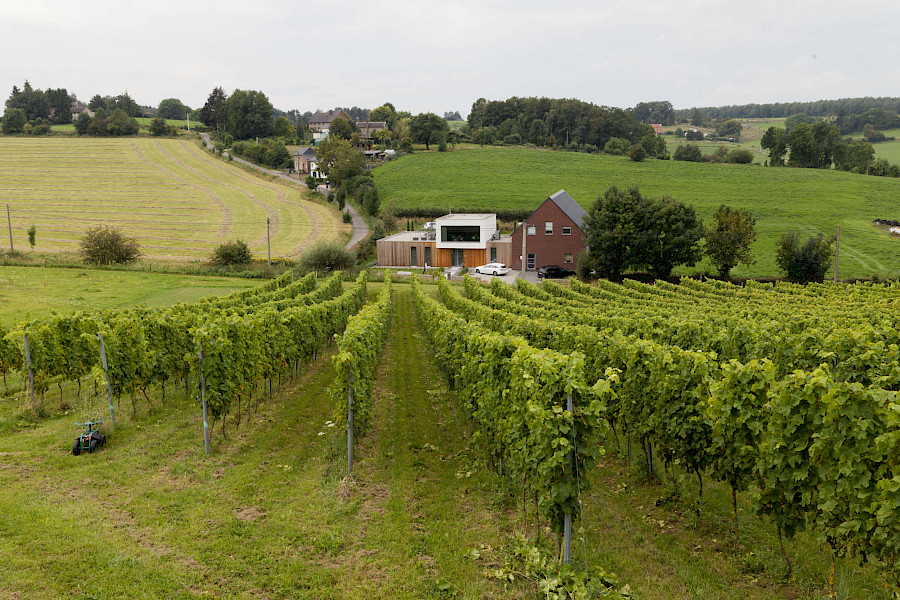 Wijndomein Zwaeneberg