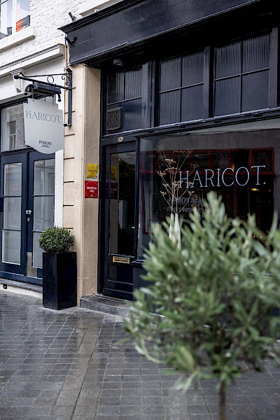 Haricot: Fine dining zonder poespas